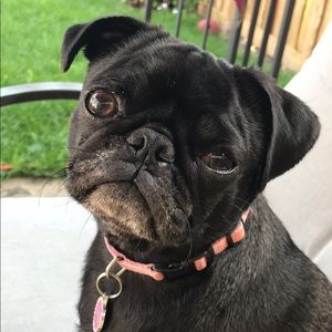 Meet your Posher, Amy